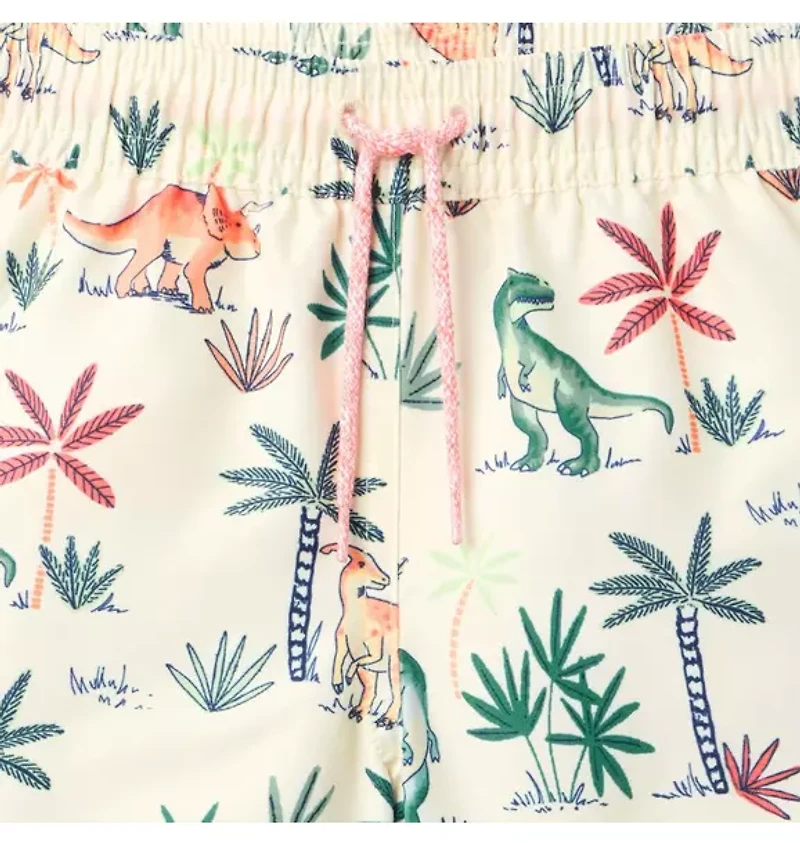 Recycled Dinosaur Swim Trunk
