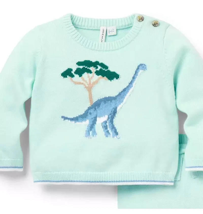 Baby Dinosaur Matching Sweater Set
