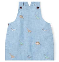 Baby Embroidered Dinosaur Overall
