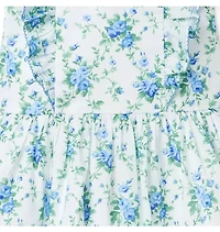 Floral Ruffle Dropwaist Dress