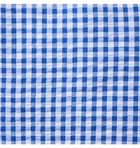 Gingham Pull-On Short