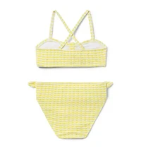 Textured Striped 2-Piece Swimsuit