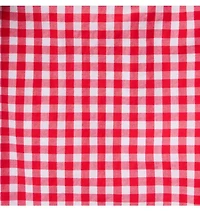 Gingham Bow Dress
