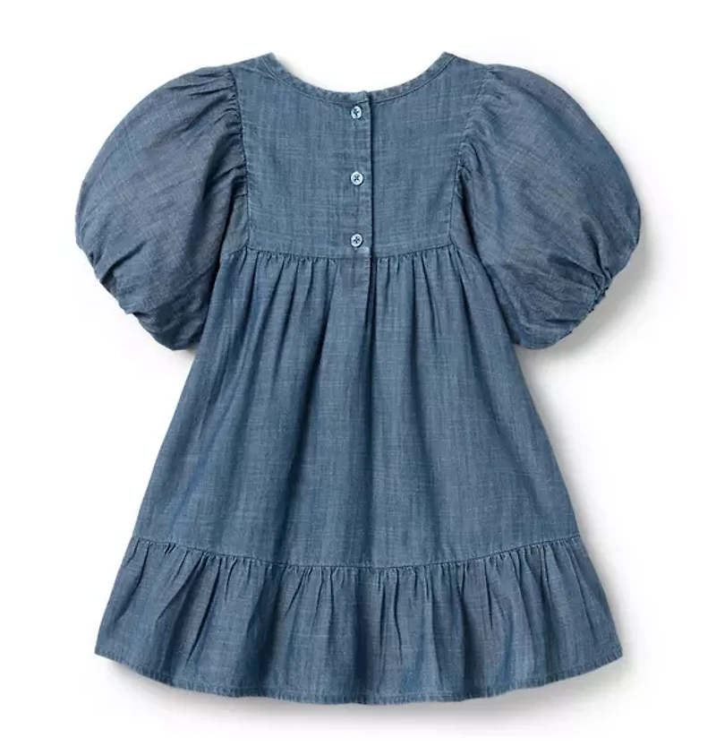 The Embroidered Denim Dress