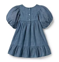 The Embroidered Denim Dress