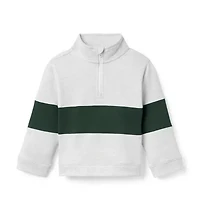 The Half Zip Stripe Sweatshirt