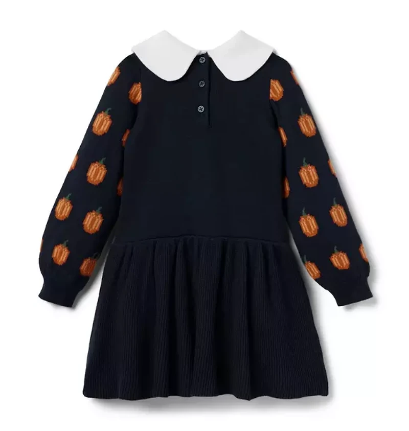 The Pumpkin Patch Sweater Dress