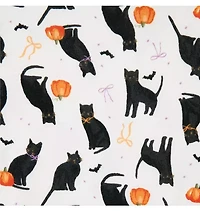Organic Cotton Halloween Cat Pajama