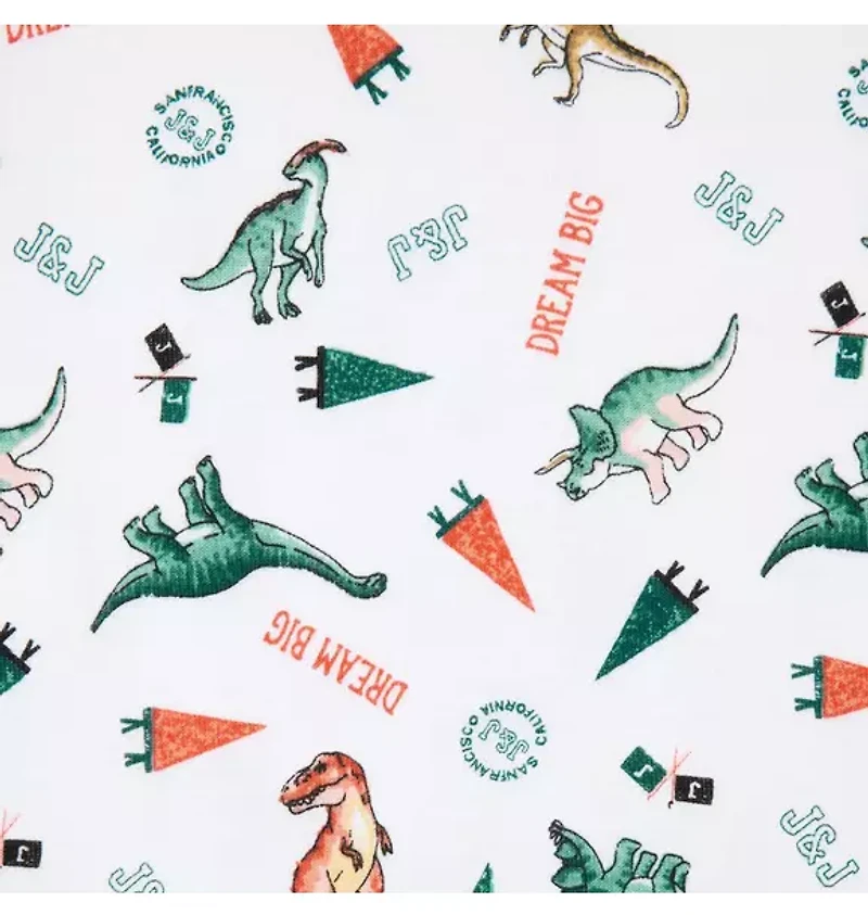 Organic Cotton Dinosaur Friends Pajama