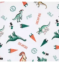 Organic Cotton Dinosaur Friends Pajama