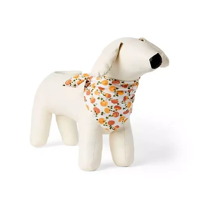 Pumpkin Dog Bandana