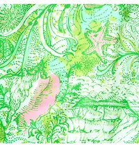 Lilly Pulitzer x Janie and Jack Men's Del Lago Swim Trunk