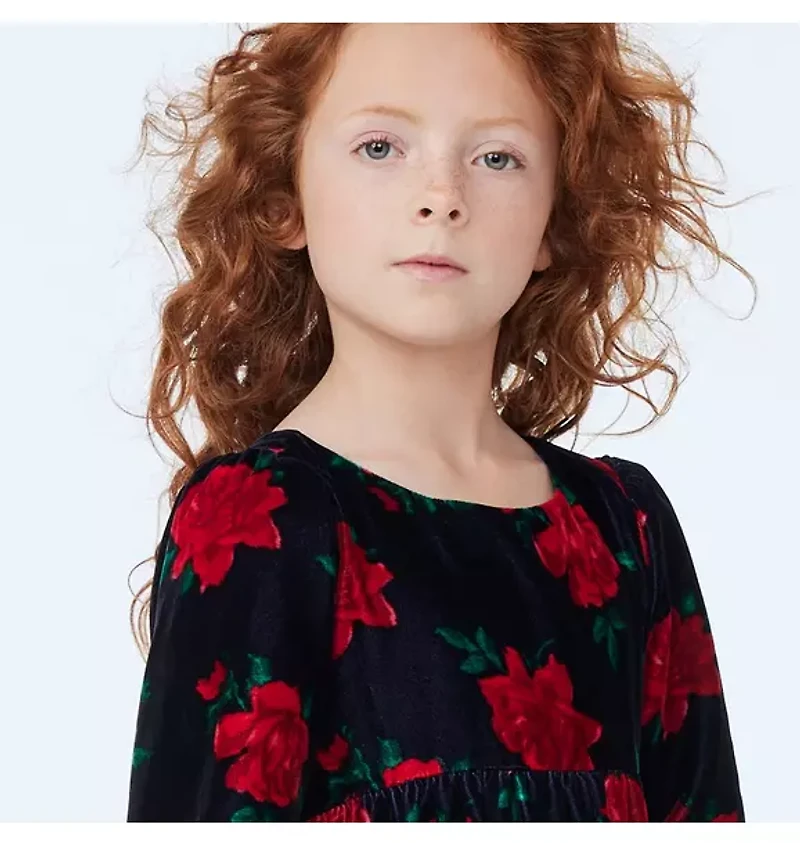The Velvet Rose Dress
