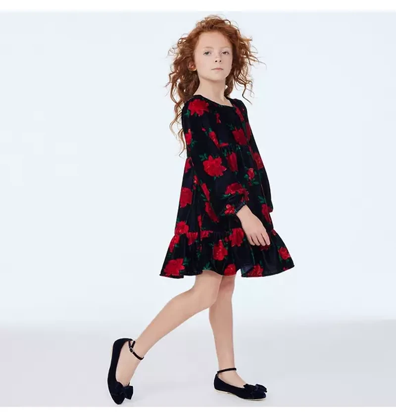 The Velvet Rose Dress