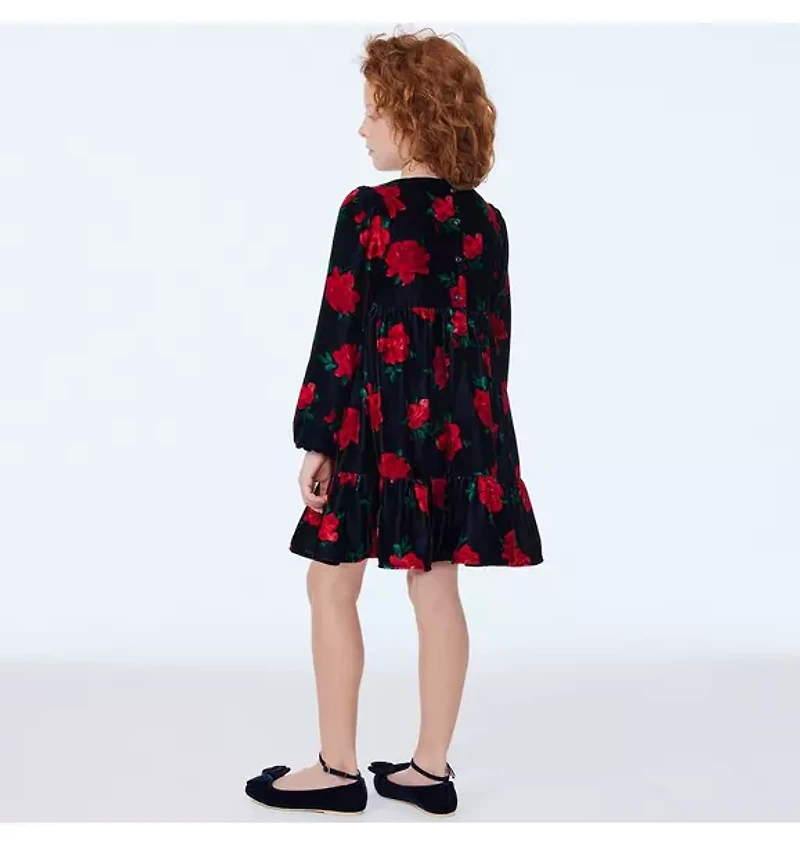 The Velvet Rose Dress