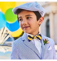 Striped Seersucker Newsboy Cap