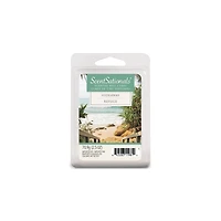 ScentSationals Scented Wax Cubes - Hideaway