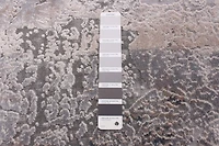 ECARPET Modern Abstract Area Rug Phoenix Collection