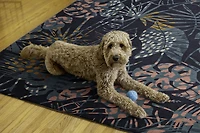 Outdoor Washable Miramar Navy & Gold 5' x 7' Area Rug