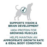 Purina ONE SmartBlend Large Breed Puppy Formula Chicken, Dry Dog Food 14 kg