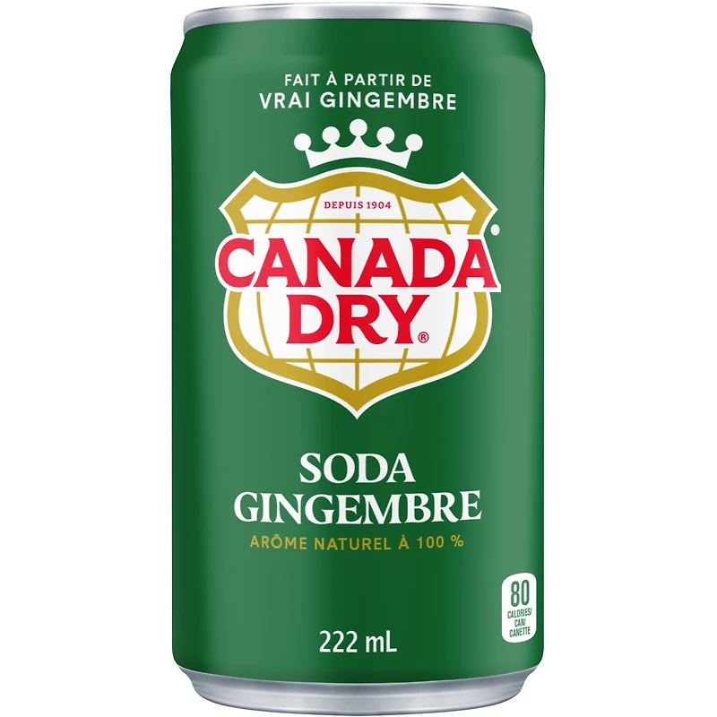 Canada Dry® Ginger Ale 222 mL Mini-Cans, 6 Pack