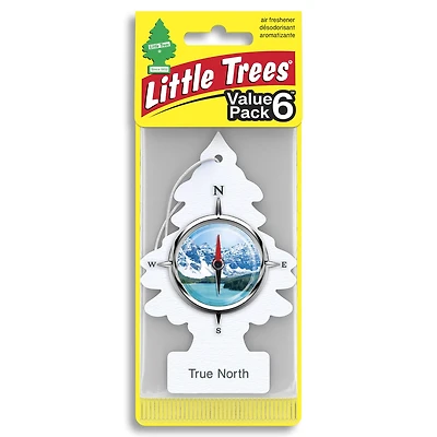 Assainisseur d'air LITTLE TREES True North 6-Pack