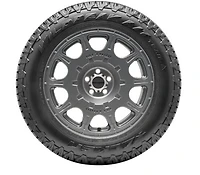 Falken Wildpeak A/T Trail 215/70R16 100H pneu