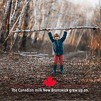 Baxter Skim Milk