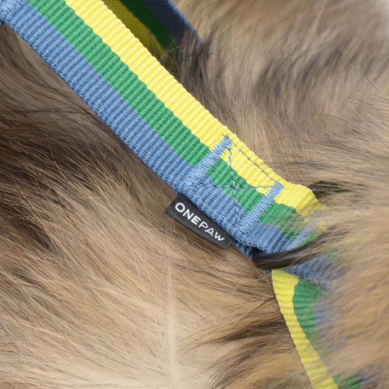 One Paw , Ensemble Harnais et Laisse pour Chien Lot de 3 avec Porte-Sacs à Excréments, Tailles Multiples, Bleu, Chiens
