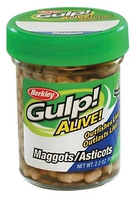 Gulp Alive Vers
