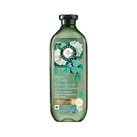 Herbal Essences Scalp + Purify Shampoo, Cleanses The Scalp for Soft Hair, Eucalyptus, Sulfate-Free, 400 mL
