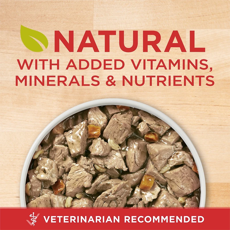 Purina ONE Tender Cuts in Gravy Lamb & Brown Rice Entrée, Wet Dog Food 368 g