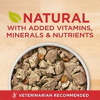 Purina ONE Tender Cuts in Gravy Lamb & Brown Rice Entrée, Wet Dog Food 368 g