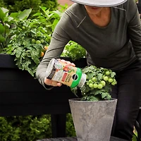 Engrais pour tomates, fruits et légumes Miracle-Gro Shake ’n Feed - 453g