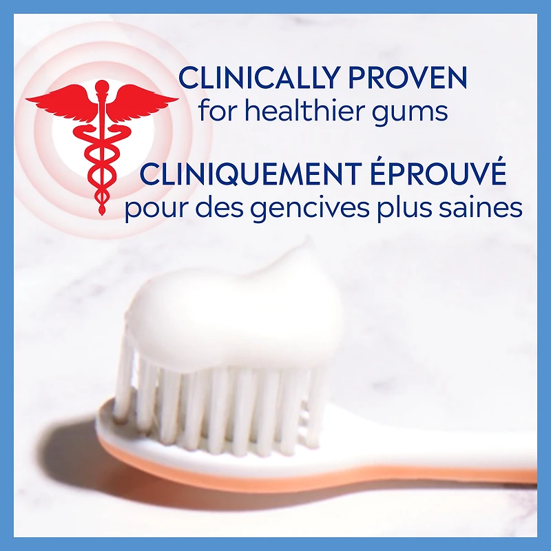 Colgate PerioGard SF Gum Care Sensitive Toothpaste, Gum Toothpaste, 70 mL