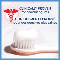 Colgate PerioGard SF Gum Care Sensitive Toothpaste, Gum Toothpaste, 70 mL