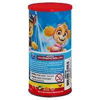 PAW Patrol 48-Piece Jigsaw Puzzle in Tube
