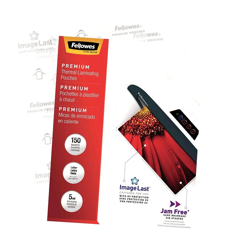 Pochette brillante - Cartes d'affaires, 5 mils, 100/paquet