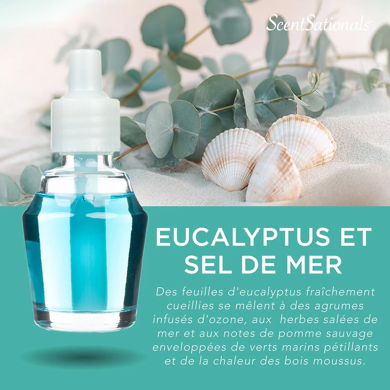 ScentSationals ScentCharm Oil - Eucalyptus Sea Salt