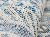 ECARPET Livia Transitional Area Rug for Living Room, Bedroom, Dining Room, Entrance, Hallway and More.