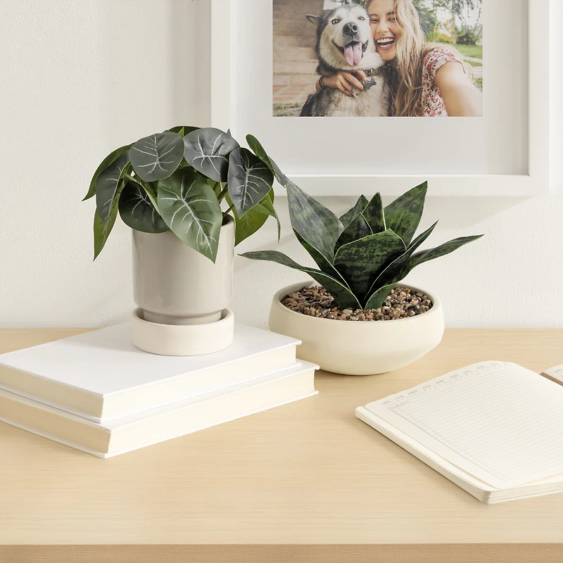 DesignOvation 7"H Artificial Variegated Leaf Plant in Two-tone Ceramic Pot