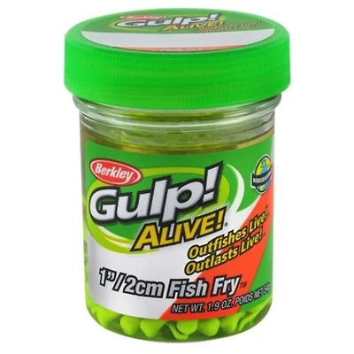 Ga Fish Fry