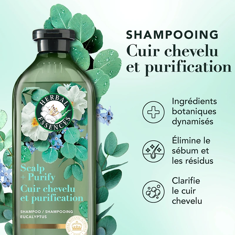 Herbal Essences Scalp + Purify Shampoo, Cleanses The Scalp for Soft Hair, Eucalyptus, Sulfate-Free, 400 mL