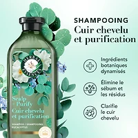 Herbal Essences Scalp + Purify Shampoo, Cleanses The Scalp for Soft Hair, Eucalyptus, Sulfate-Free, 400 mL