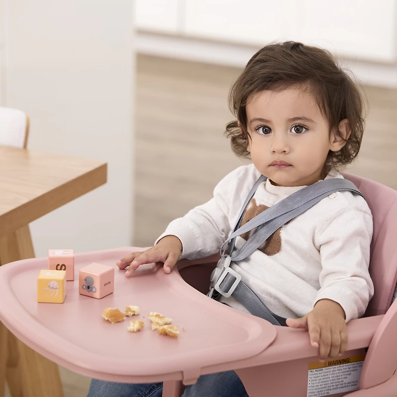 Evolur Step and Savor Convertible High Chair, Rose Petal