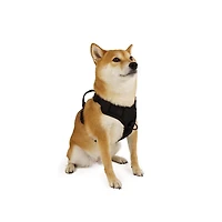 Harnais pour chien One Paw, avec maille collée et coutures réfléchissantes, disponible en plusieurs tailles couleurs.