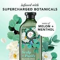 Herbal Essences Scalp + Purify Shampoo, Cleanses The Scalp for Soft Hair, Eucalyptus, Sulfate-Free, 400 mL