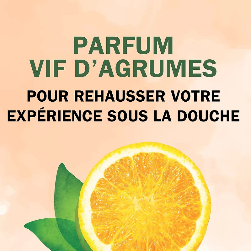 Herbl Essences Body Envy Revitalisant Volume Rehaussé pour les Cheveux