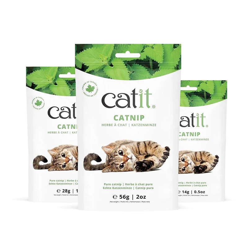 Catit Pure Catnip for Cats, 28g