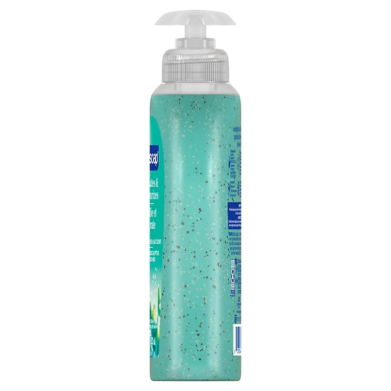 Softsoap Therapy Eucalyptus and Sea Salt Scent Exfoliating Hand Soap, 332 ml